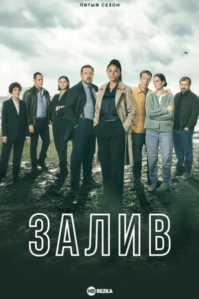 Залив